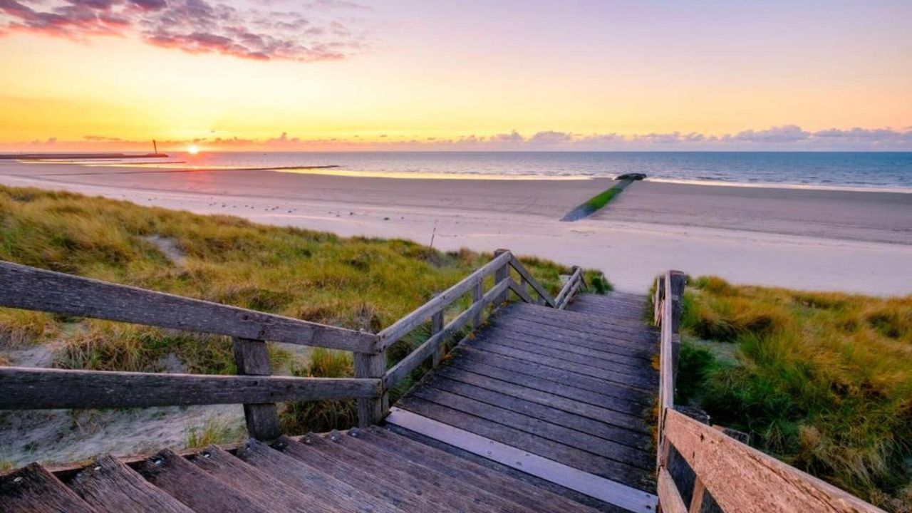 AreaSummer20KM AreaSummer20KM